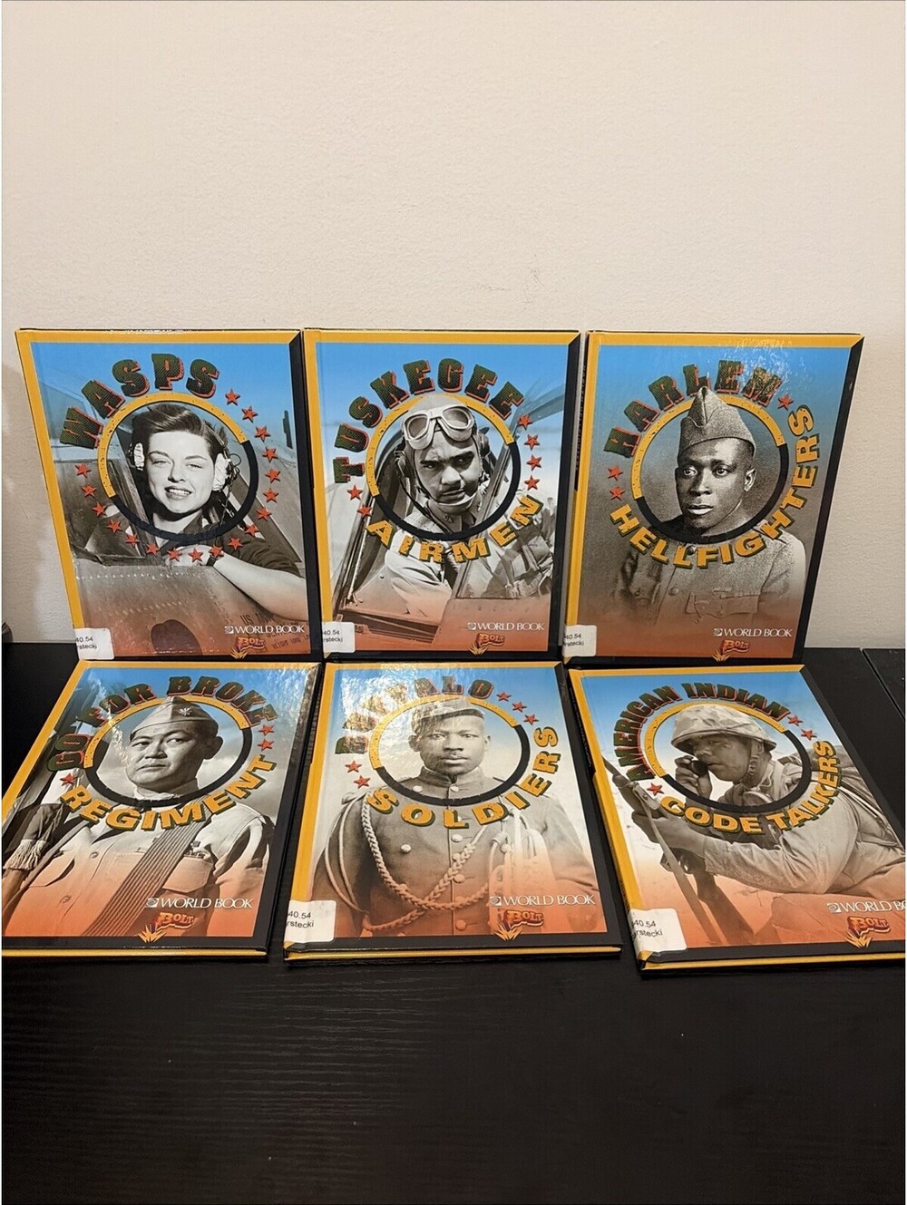 6 All-American Fighting Forces -Library Binding -Wasps-Buffalo-Harlem-Tuskegee